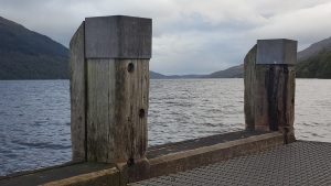 Photo courtesy of Mark