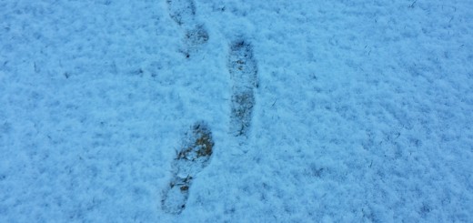 Footprints in the Snow